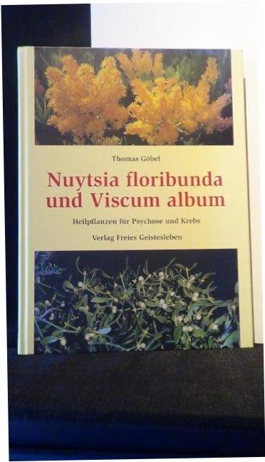 Gbel, Thomas, - Nuytsia floribunda und Viscum Album.